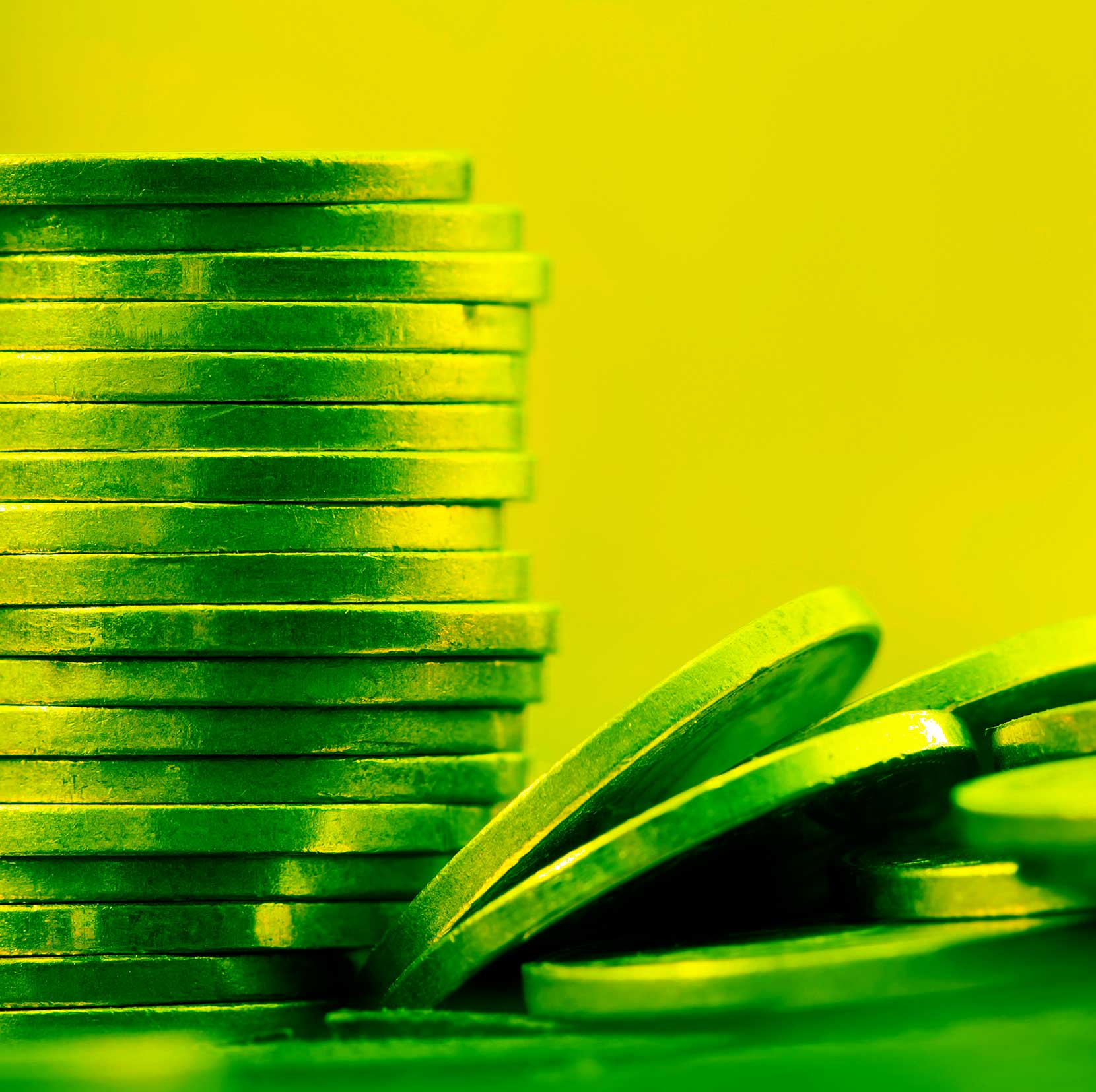 Stock or Scrip Dividend